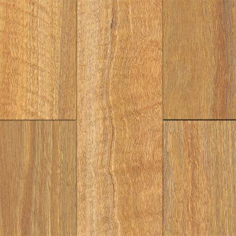 NSW Spotted Gum