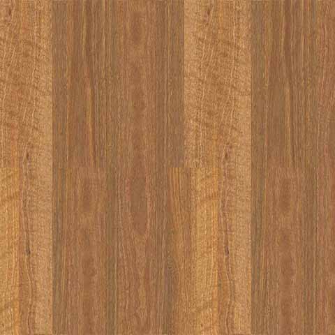 ETS530 QLD Spotted Gum