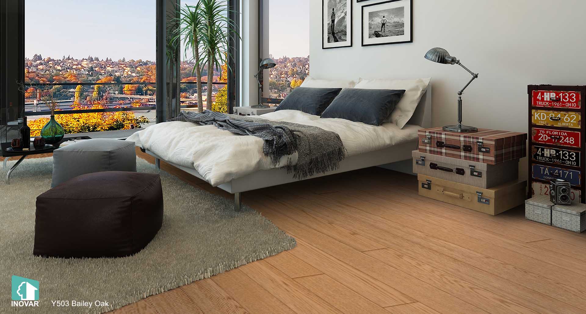 Y503 Bailey Oak