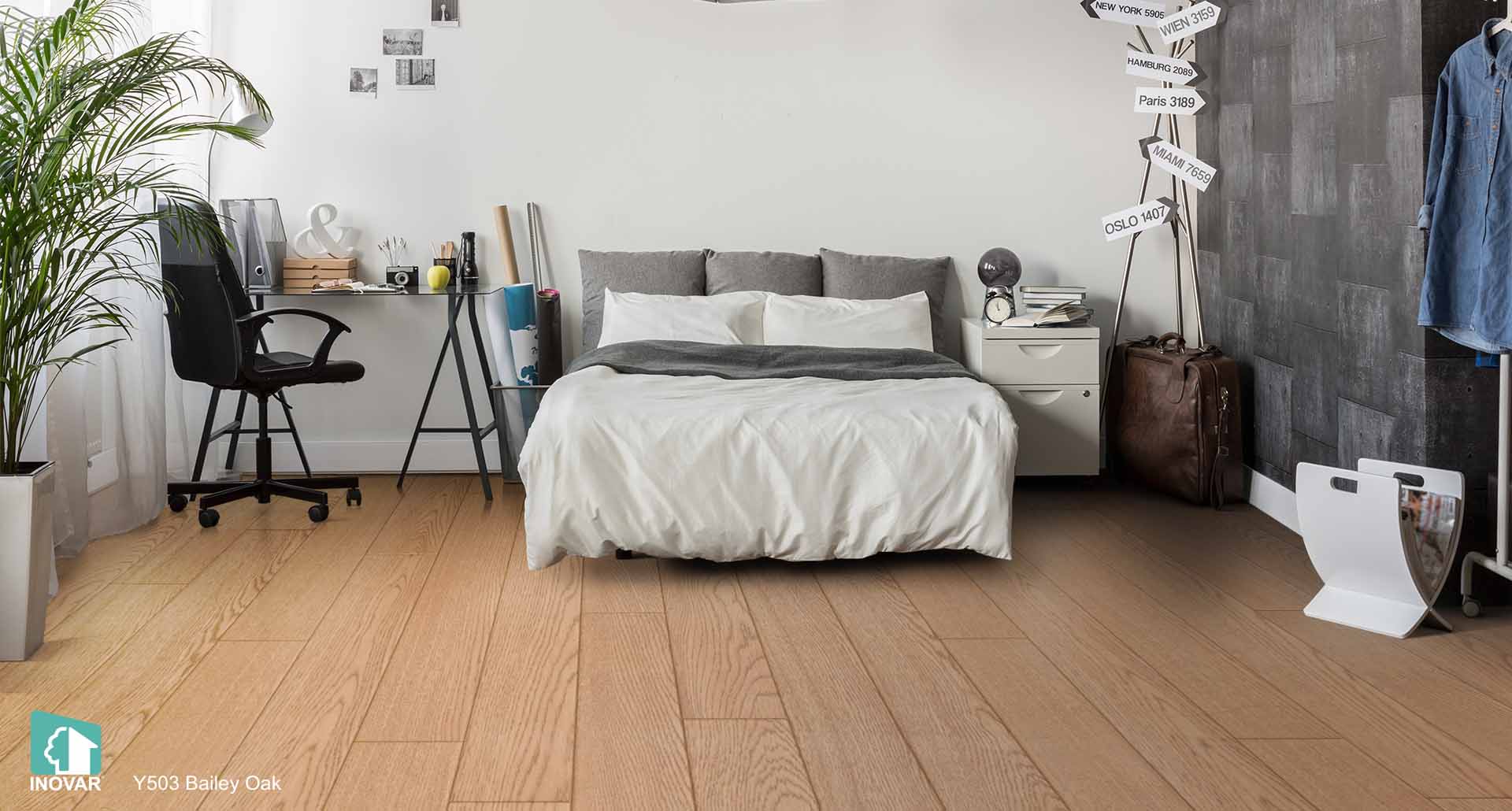 Y503 Bailey Oak