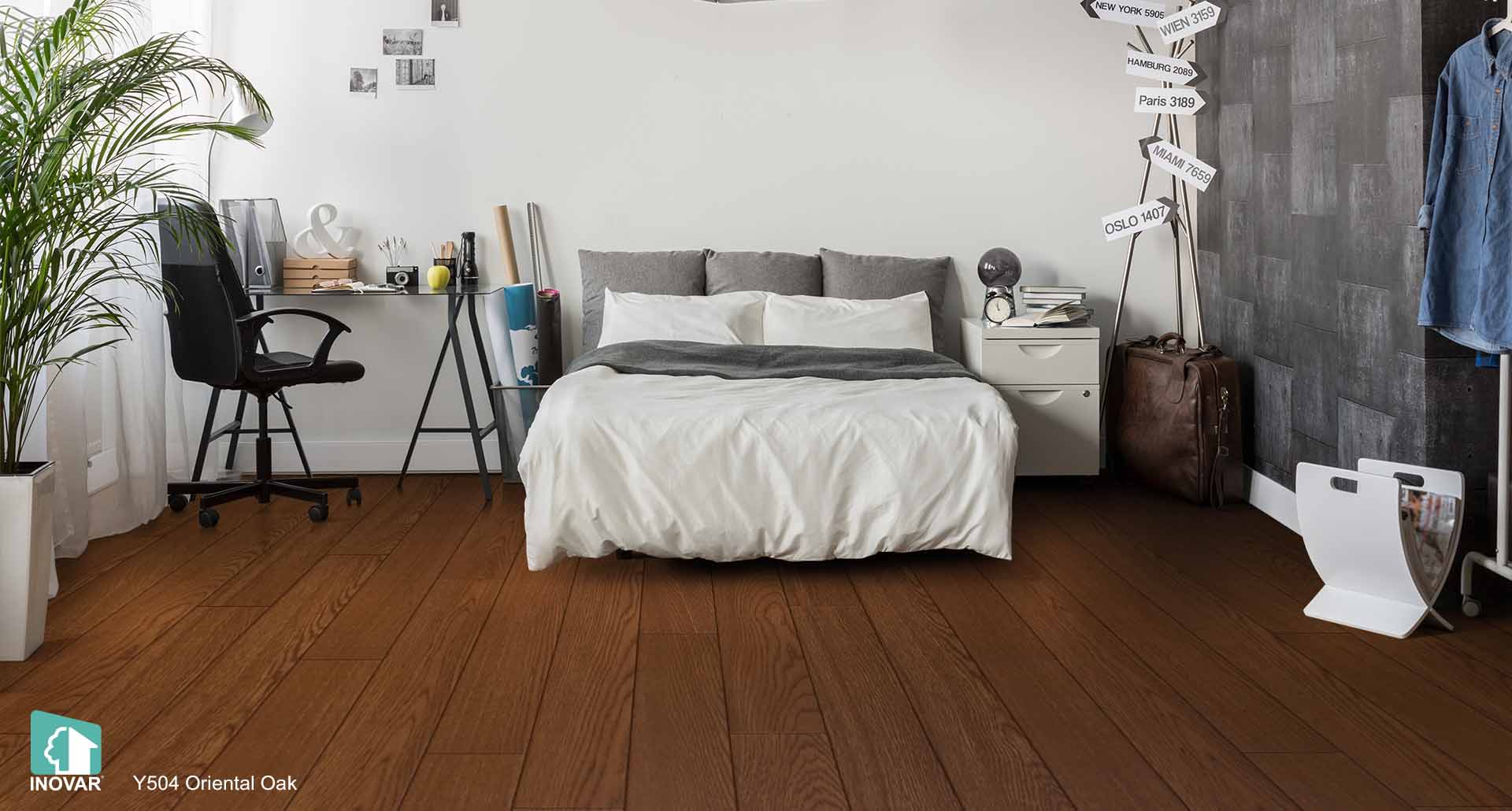 Y504 Oriental Oak