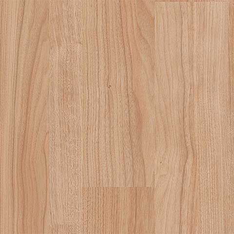 Tasmanian Walnut